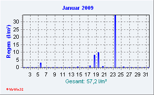 Januar 2009 Niederschlag